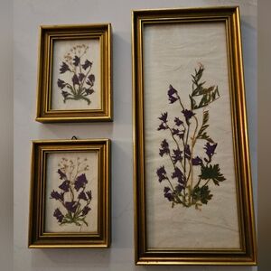 Austrian Dried Flowers Framed
